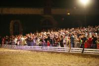 J-M Montegnies_mg_0172_horse_show.jpg