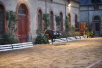 J-M Montegnies_mg_0173_horse_show.jpg