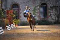 J-M Montegnies_mg_0174_horse_show.jpg