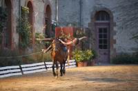 J-M Montegnies_mg_0183_horse_show.jpg