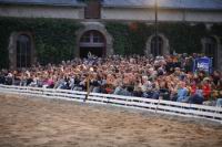 J-M Montegnies_mg_0195_horse_show.jpg