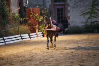 J-M Montegnies_mg_0203_horse_show.jpg