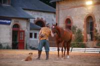 J-M Montegnies_mg_0206_horse_show.jpg