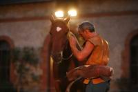 J-M Montegnies_mg_0214_horse_show.jpg