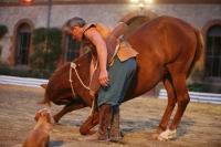 J-M Montegnies_mg_0217_horse_show.jpg