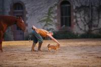 J-M Montegnies_mg_0221_horse_show.jpg