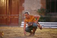 J-M Montegnies_mg_0237_horse_show.jpg