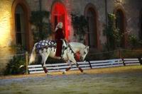 J-M Montegnies_mg_0251_horse_show.jpg