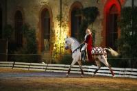 J-M Montegnies_mg_0254_horse_show.jpg