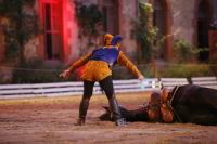 J-M Montegnies_mg_0267_horse_show.jpg