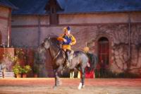 J-M Montegnies_mg_0286_horse_show.jpg