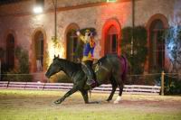 J-M Montegnies_mg_0292_horse_show.jpg