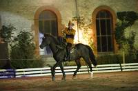 J-M Montegnies_mg_0293_horse_show.jpg