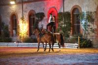 J-M Montegnies_mg_0310_horse_show.jpg