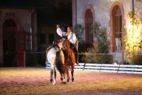 J-M Montegnies_mg_0314_horse_show.jpg