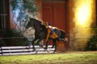 J-M Montegnies_mg_0330_horse_show.jpg