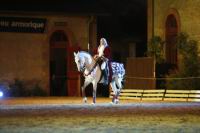 J-M Montegnies_mg_0337_horse_show.jpg