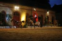 J-M Montegnies_mg_0353_horse_show.jpg