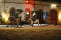J-M Montegnies_mg_0355_horse_show.jpg