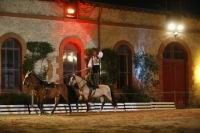 J-M Montegnies_mg_0367_horse_show.jpg