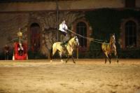 J-M Montegnies_mg_0372_horse_show.jpg