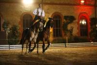 J-M Montegnies_mg_0382_horse_show.jpg