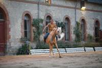 J-M Montegnies_mgi_0078_horse_show.jpg